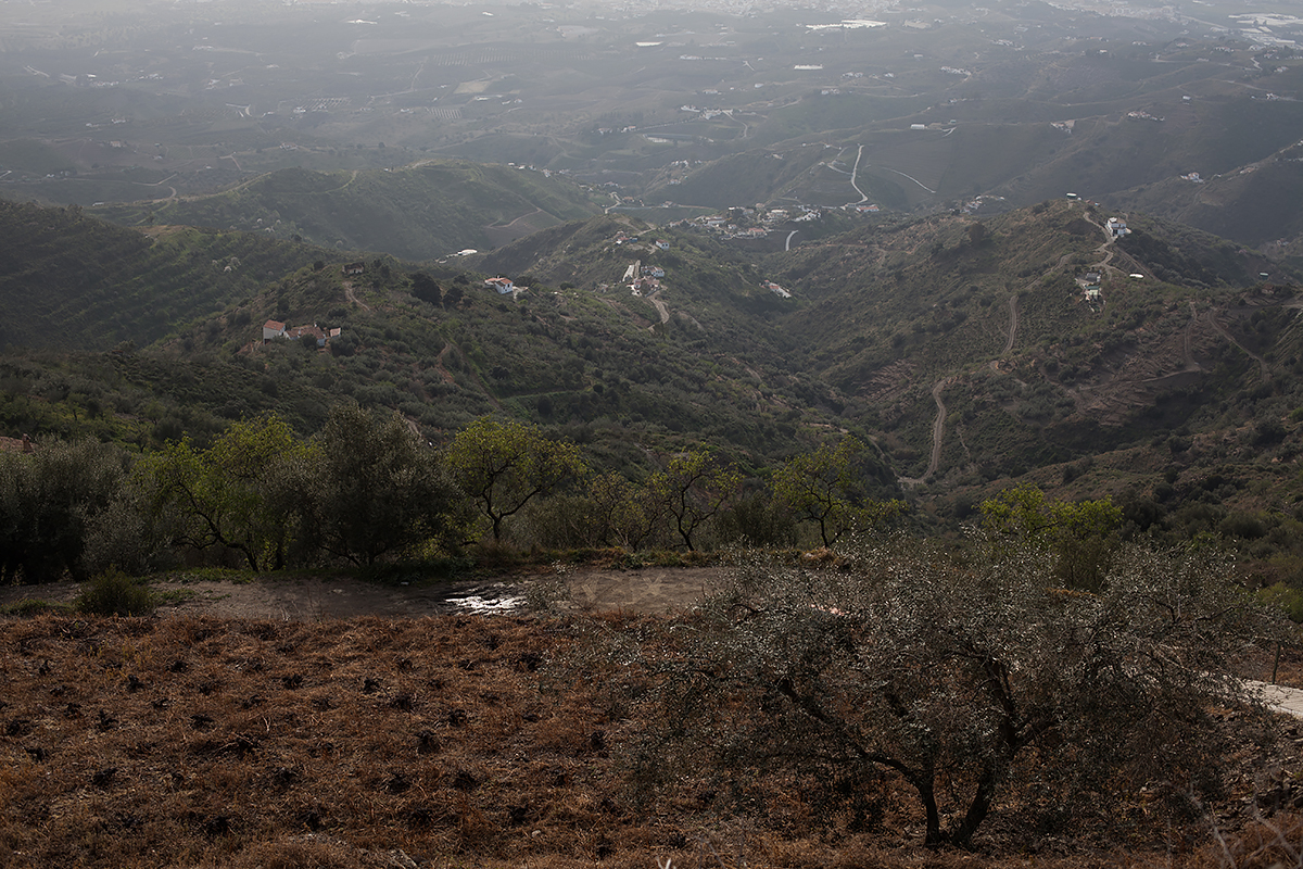 Andalucia-Campo-53